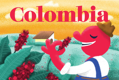 DECAF Colombia Medium-Dark